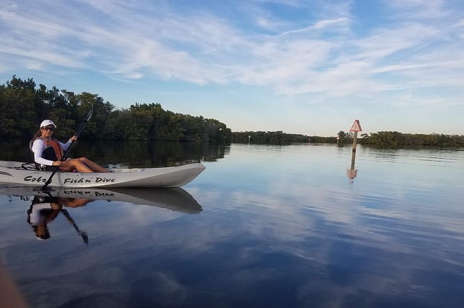 Mangrove Tunnels, Dolphins, Manatee Tour #1 Rated in Cocoa Beach - Why the small group and kayak choice matter