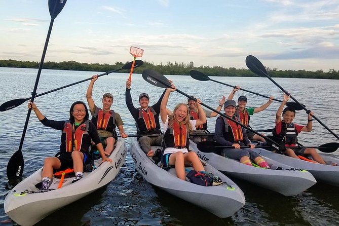 Mangrove Tunnels, Dolphins, Manatee Tour #1 Rated in Cocoa Beach - What to bring, and how wet you might get