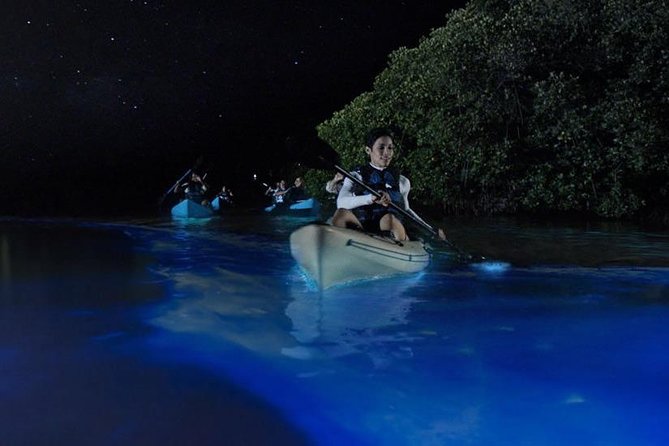 Mangrove Tunnels, Dolphins, Manatee Tour #1 Rated in Cocoa Beach - Who will enjoy this Cocoa Beach outing most