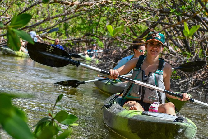 Mangrove Tunnels & Mudflats Kayak Tour - Local Biologist Guides - Launching from Isle of Capri Paddlecraft Park