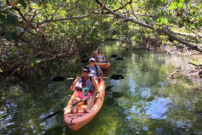Mangroves and Manatees - Guided Kayak Eco Tour - Key things to know before you paddle