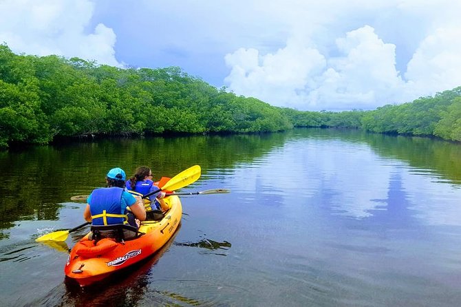 Mangroves and Manatees - Guided Kayak Eco Tour - The first minutes: instruction, equipment, and an easy launch