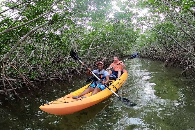 Mangroves and Manatees - Guided Kayak Eco Tour - Paddling from the canal toward the mangroves
