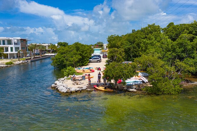 Mangroves and Manatees - Guided Kayak Eco Tour - How hard is the paddling?