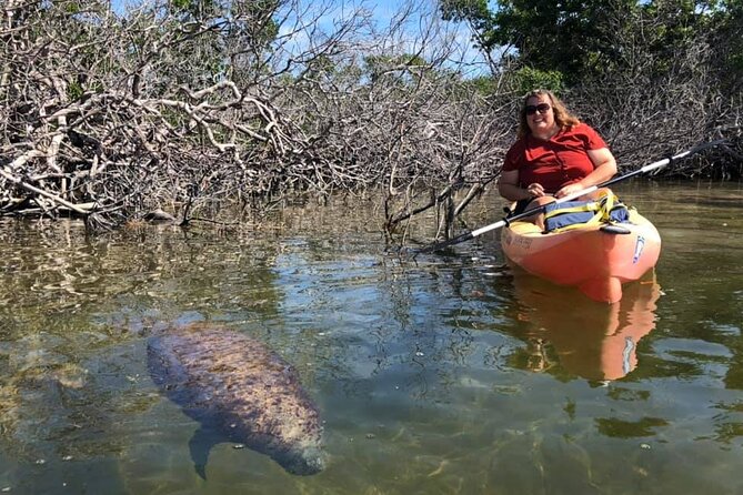 Mangroves and Manatees - Guided Kayak Eco Tour - The guides are a big part of the value
