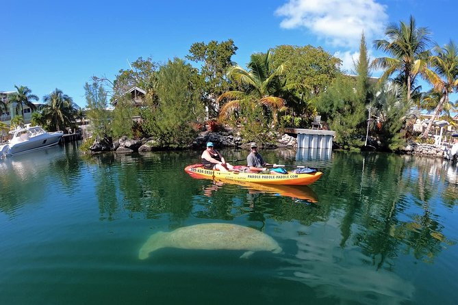 Mangroves and Manatees - Guided Kayak Eco Tour - Starting at 90773 Old Hwy in Tavernier