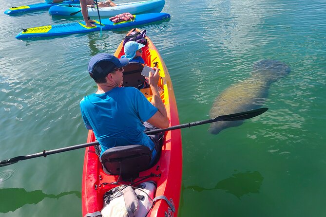 Mangroves, Manatees, and a Hidden Beach: Kayak Tour - Key points to know before you paddle