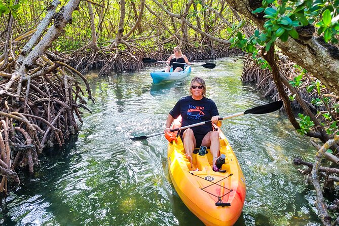 Mangroves, Manatees, and a Hidden Beach: Kayak Tour - Why the mangroves are the main event