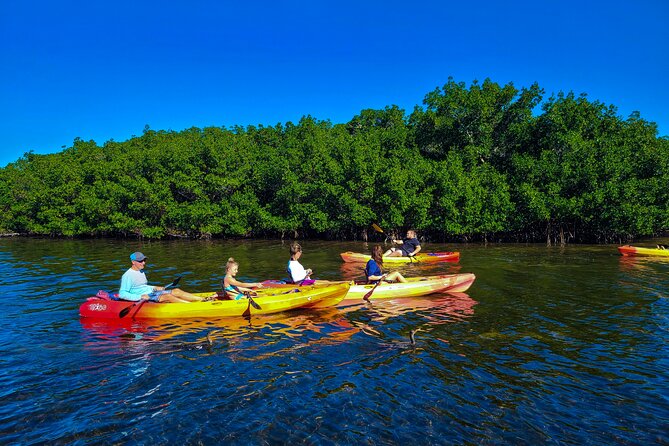 Mangroves, Manatees, and a Hidden Beach: Kayak Tour - Why the two-hour length works