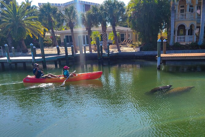 Mangroves, Manatees, and a Hidden Beach: Kayak Tour - What the guides add
