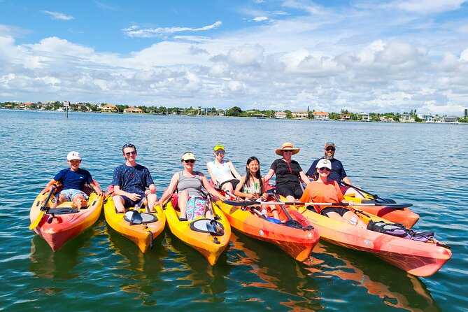 Mangroves, Manatees, and a Hidden Beach: Kayak Tour - Sarasota Bay wildlife, with no promises