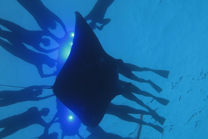 Manta Magic: Small-Group Manta Ray Night Snorkel in Kailua Kona - Is $145 a fair price?
