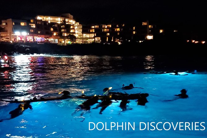 Manta Ray Night Snorkel at Kona, Big Island - How demanding is the snorkeling?