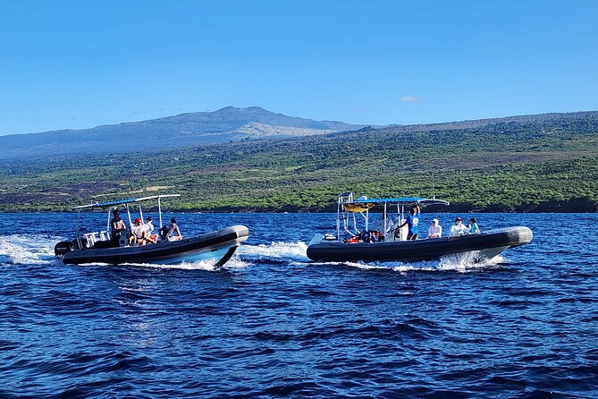 Manta Ray Night Snorkel at Kona, Big Island - The crew shapes the whole evening