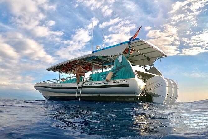 Manta Ray Night Snorkel from Kona — Small Group - Crew Support and the Small-Boat Advantage
