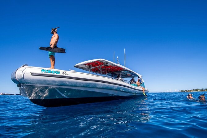 Manta Ray Night Snorkel from Kona — Small Group - What the $123 Price Really Buys You