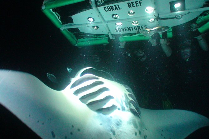 Manta Ray Night Snorkel Kona - Coral Reef Snorkel Adventures - Meeting the boat at Honokohau Harbor