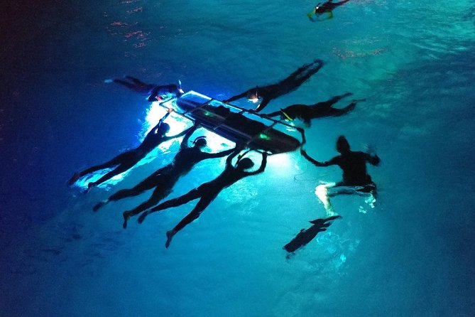 Manta Ray Night Snorkel Kona - Coral Reef Snorkel Adventures - The small-group question you should clarify