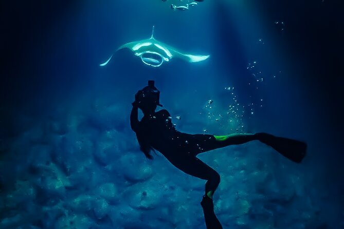 Manta Ray Night Snorkel Tour in Kailua-Kona, Big Island - Who will enjoy this Kona manta tour most