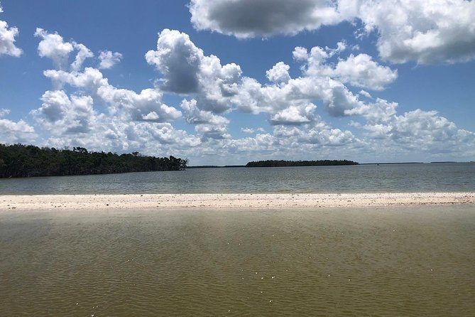 Marco Island 2 hour Dolphin, Birding and Shelling tour - A two-hour introduction to the Ten Thousand Islands