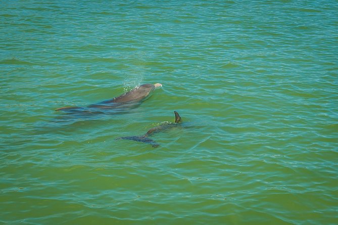 Marco Island Dolphin Sightseeing Tour - Setting out from Goodland Boating Park
