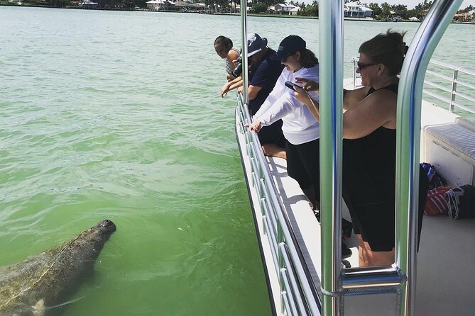 Marco Island Dolphin Sightseeing Tour - Birds, mangroves, and more than dolphins