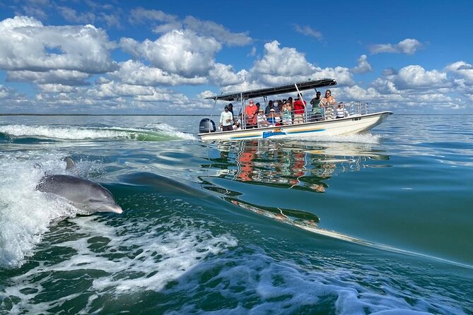 Marco Island Dolphin Sightseeing Tour - What the boat size means for your experience