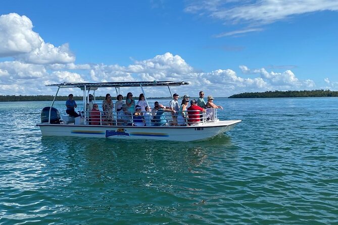 Marco Island Dolphin Sightseeing Tour - Is the price good value?