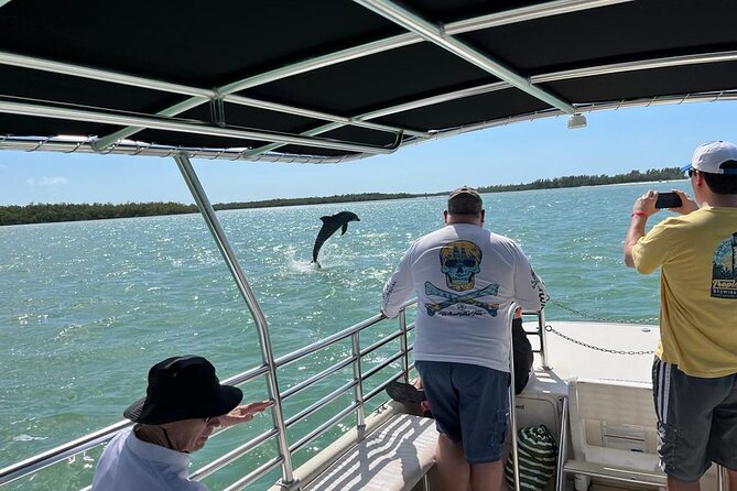 Marco Island Dolphin Sightseeing Tour - Who should book this Marco Island dolphin tour?
