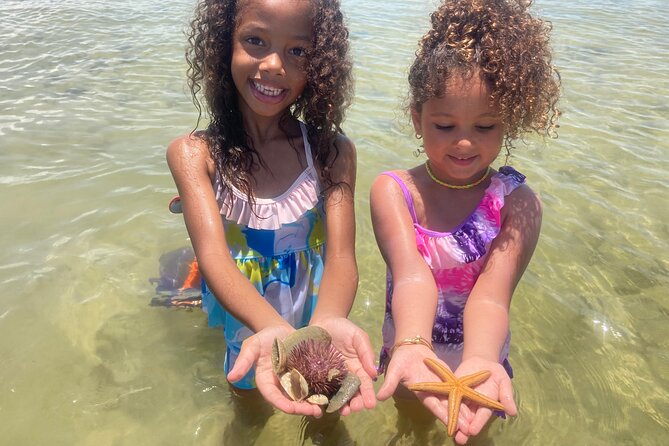 Marco Island Wildlife Sightseeing and Shelling Tour - Goodland Boating Park: Arrive Early