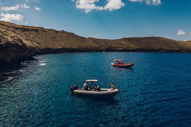 Maui: 2-Hour Molokini Snorkel Trip - Choosing between 7 a.m. and 9:30 a.m.