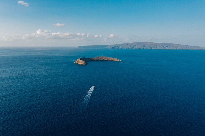 Maui: 2-Hour Molokini Snorkel Trip - More than an hour to snorkel