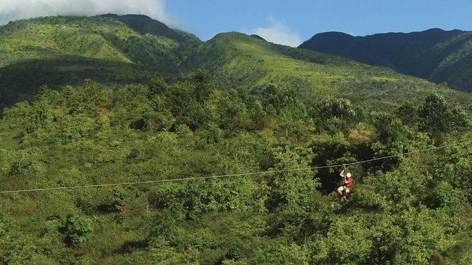 Maui 8 line Zipline Adventure: Soar above valleys & Island views - Who will enjoy this most
