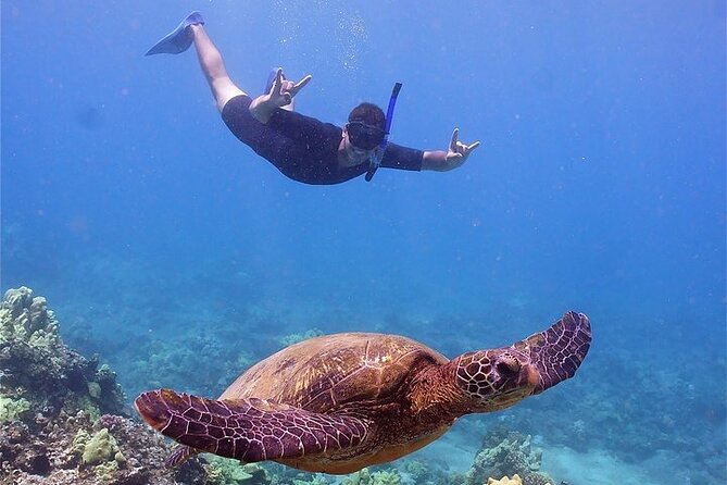 Maui Afternoon Snorkel Aboard Malolo to Molokini or Coral Gardens - Setting out from Maalaea Harbor at 1 p.m.