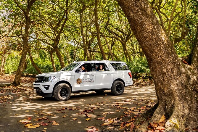 Maui by Storm: Epic Private Luxury Road to Hana Adventure Tour - Honey, coffee, fruit, and banana bread