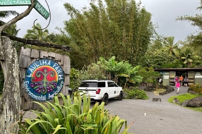 Maui by Storm: Epic Private Luxury Road to Hana Adventure Tour - Koki Beach and the local food stops