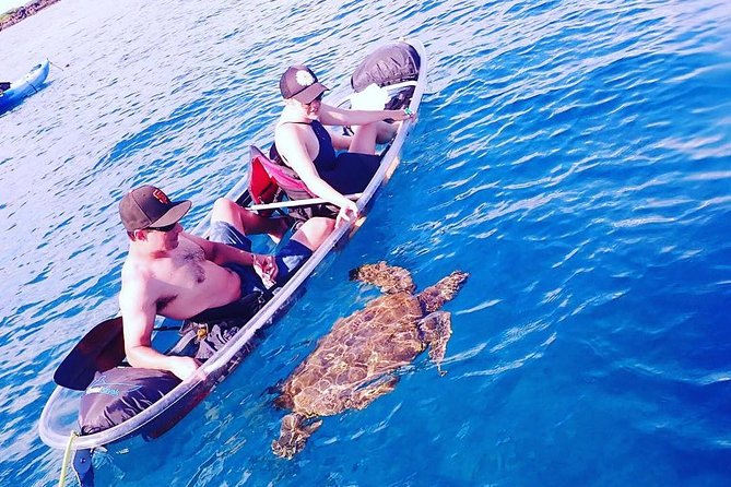Maui Clear Kayak and Snorkel Tour: Swim with turtles (Makena) - Snorkeling with turtles, or staying in the kayak