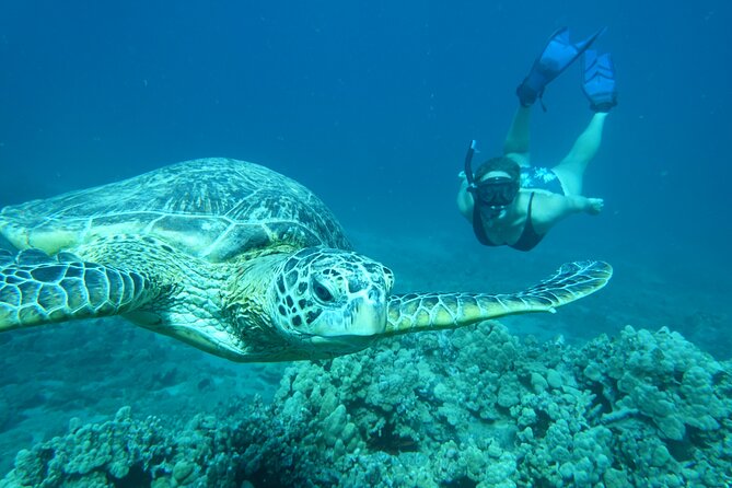 Maui Clear Kayak and Snorkel Tour: Swim with turtles (Makena) - Is $130 a fair price?