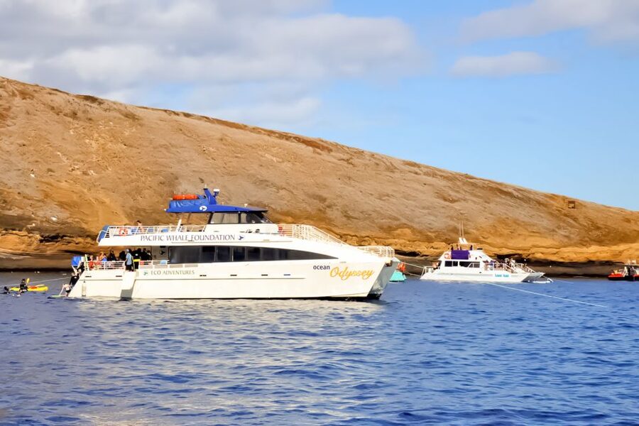 Maui: Eco-Friendly Molokini & Turtle Town Tour with Meals - Final call: a strong choice with one clear tradeoff
