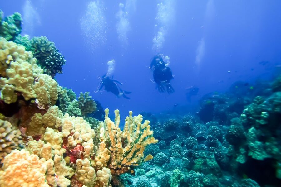 Maui: Eco-Friendly Molokini & Turtle Town Tour with Meals - Breakfast, grilled lunch, and drinks aboard