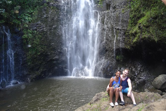 Maui: Famous Road to Hana Waterfalls and Lunch by Mercedes Van - Rainbow eucalyptus and the ride home