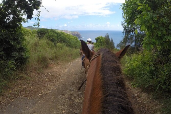 Maui Horseback Adventure at Circle M Ranch With Real Cowboys - Climbing back past taro and plantation homes