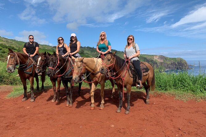 Maui Horseback Adventure at Circle M Ranch With Real Cowboys - Is it suitable for beginners, children, and experienced riders?