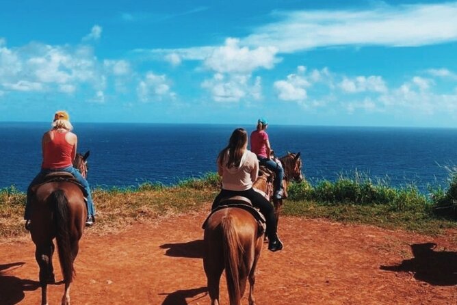 Maui Horseback Adventure at Circle M Ranch With Real Cowboys - The first 45 minutes: safety, horses, and mounting