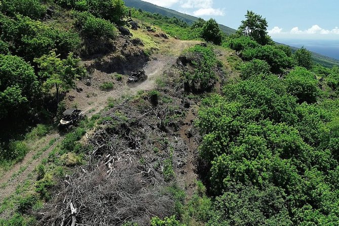 Maui: Lahaina ATV Adventure - Starting in Lahaina and heading toward the hills