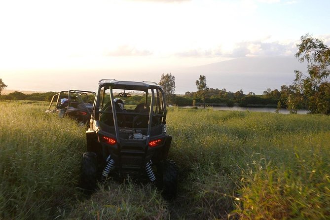 Maui: Lahaina ATV Adventure - Four-seat RZRs on 1,400 acres of West Maui