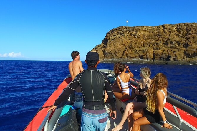 Maui: Molokini Crater and Turtle Town Snorkeling From Kihei - Whale watching can become part of the ride