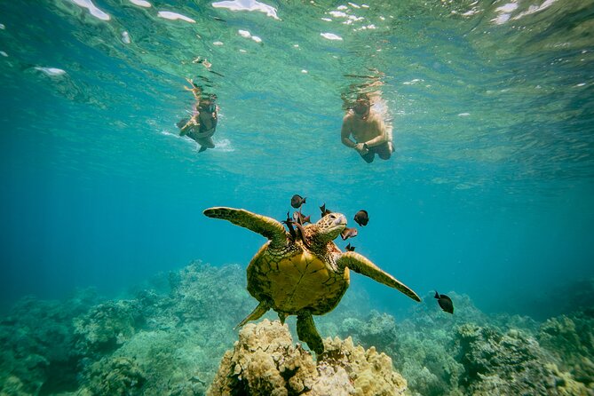 Maui: Molokini Crater and Turtle Town Snorkeling From Kihei - Who should book this morning on the water