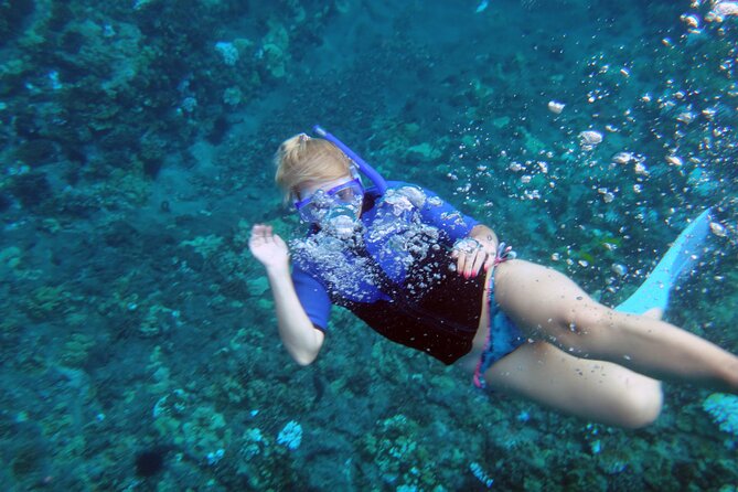 Maui: Molokini & Turtle Town Snorkel & Waterslide Adventure - The waterslide, lunch, and time between swims