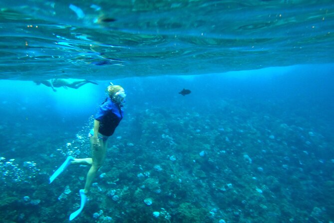 Maui: Molokini & Turtle Town Snorkel & Waterslide Adventure - Who should book this boat?